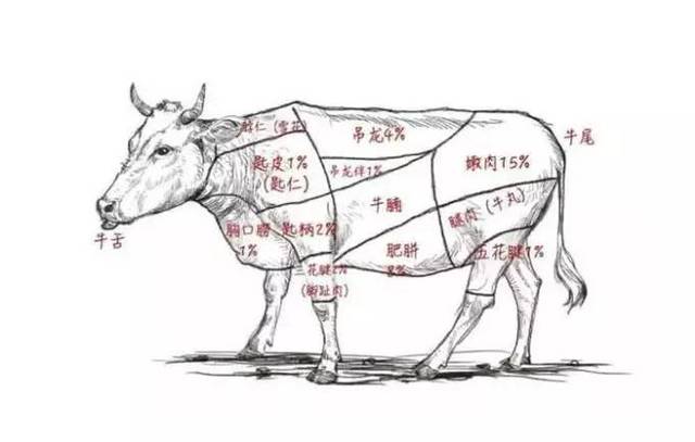 古桥、寺庙、牛肉火锅一座古城的生意经(图1)